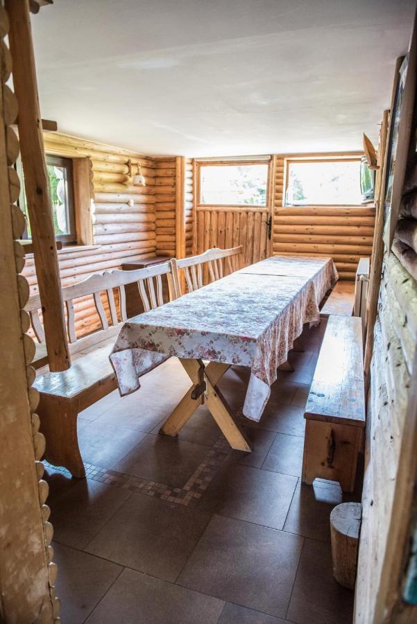 Noclegi U Ewy Witów Extérieur photo