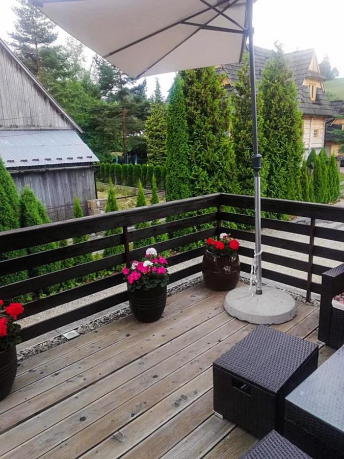 Noclegi U Ewy Witów Extérieur photo